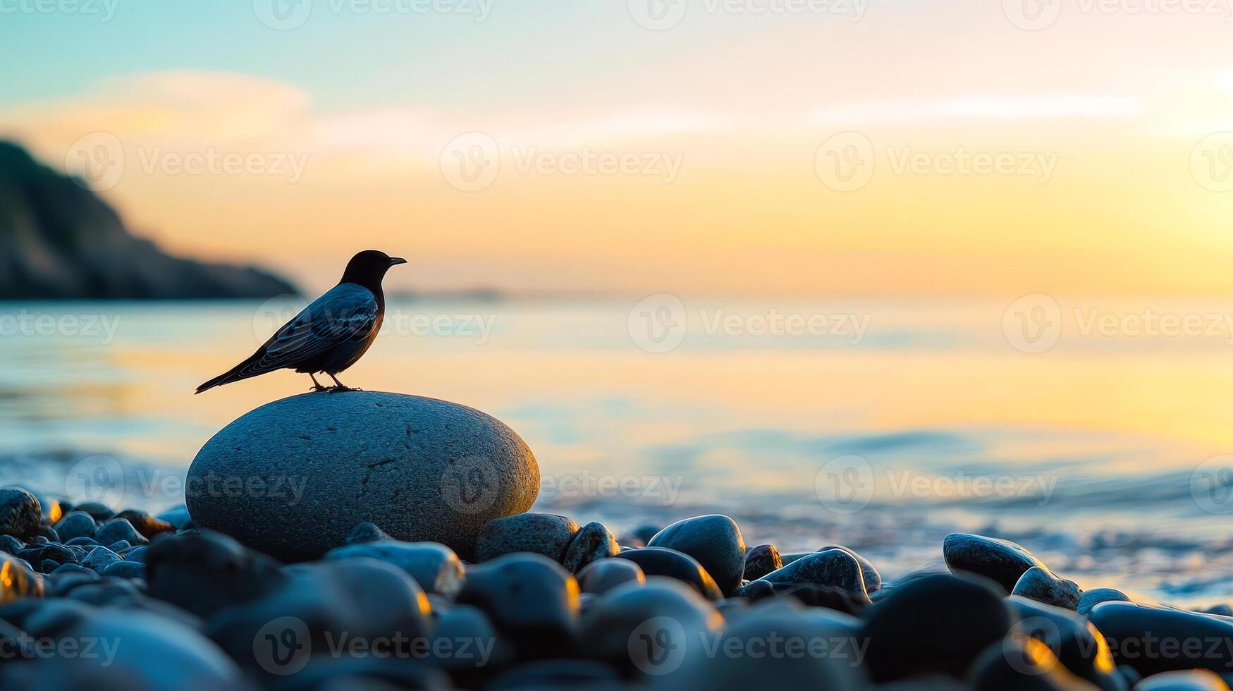 Majestic Bird on a Pebble Beach at Sunrise photo