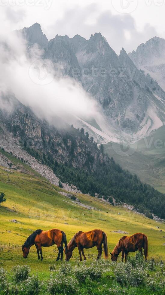 Majestic Horses Grazing in a Misty Mountain Valley photo