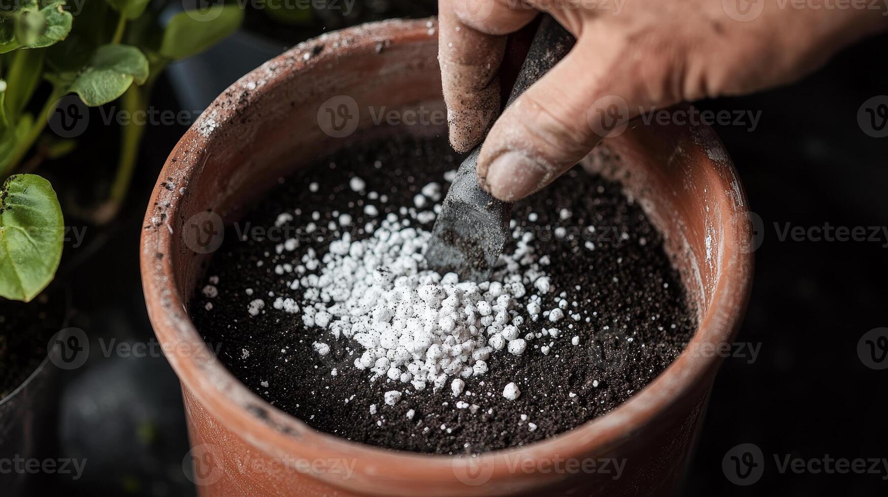 Preparing Soil for Planting in Terracotta Pot - Gardening Basics photo