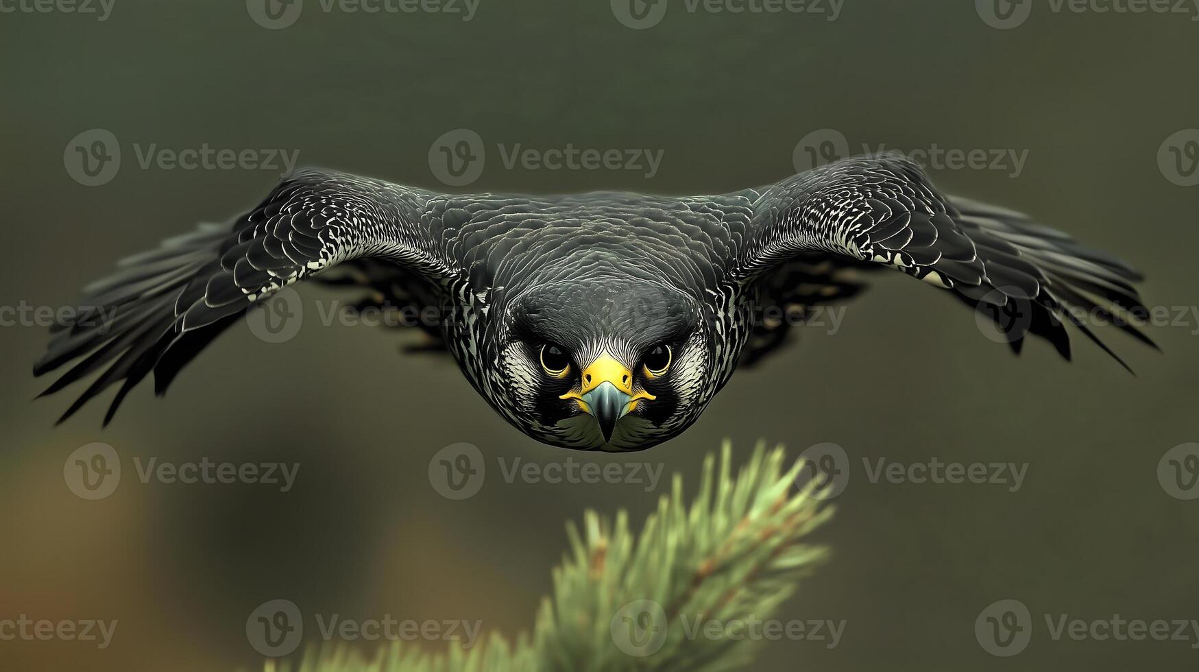 Hawk Soaring Through Misty Forest photo
