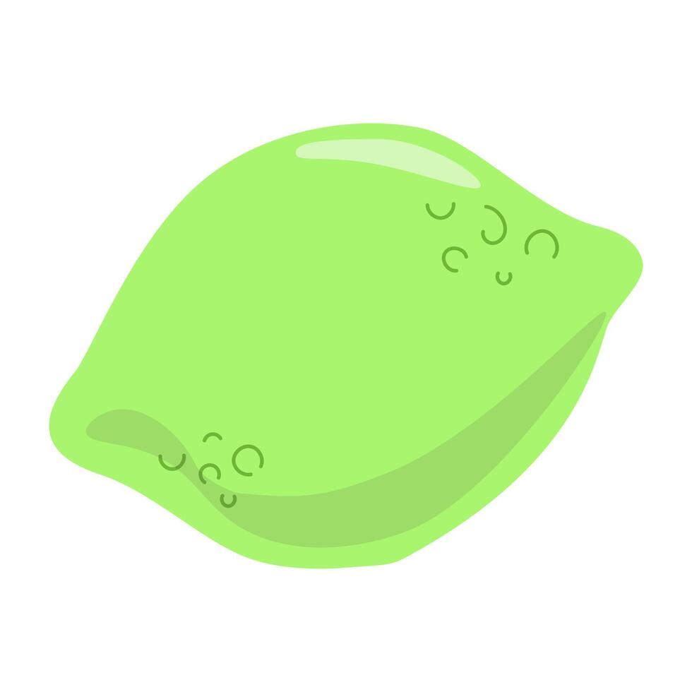 Fresh lime with smooth surface and bright color vector
