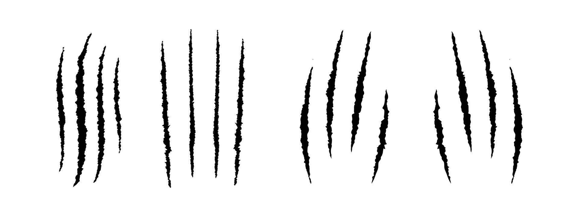 Animal paw print silhouette with scratches and claw markings vector