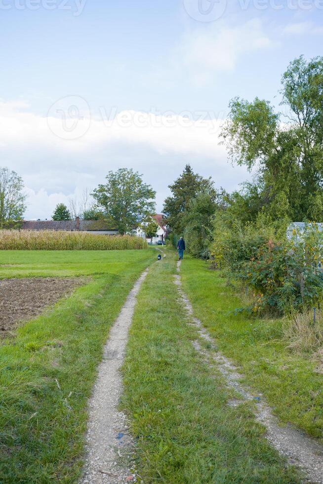 A man with a dog goes into the distance, heading for his house. Vertical photo of rural landscape in Germany. A man with a pet.