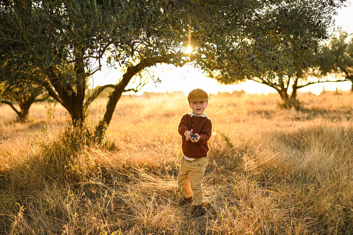 In a rustic cap and vintage tones, the boy laughs while harvesting olives at dusk. photo