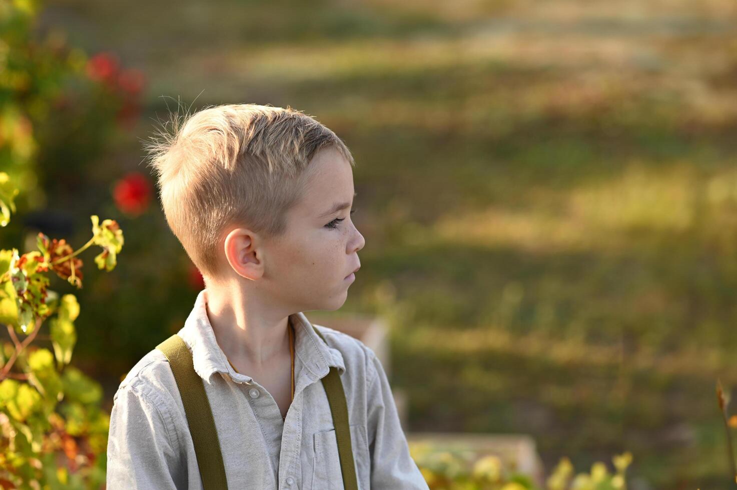 In the heart of the vineyard, a young boy looks around in wonder at the endless green rows. photo