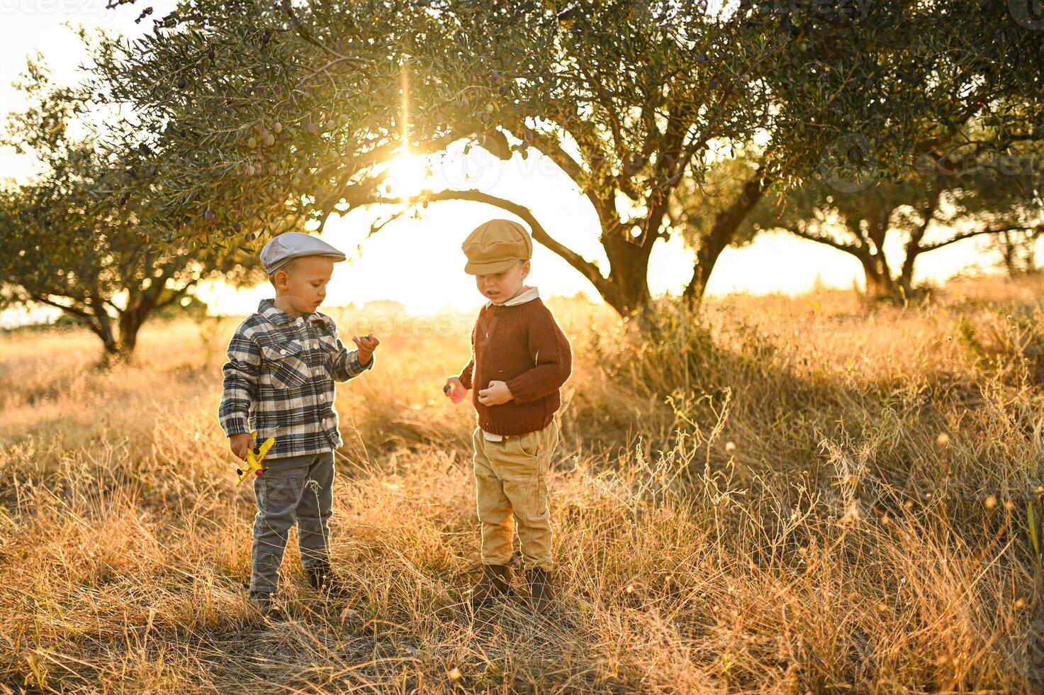 Two little boys crouch beneath an olive tree, their hands stained with fruit and sunlight. photo