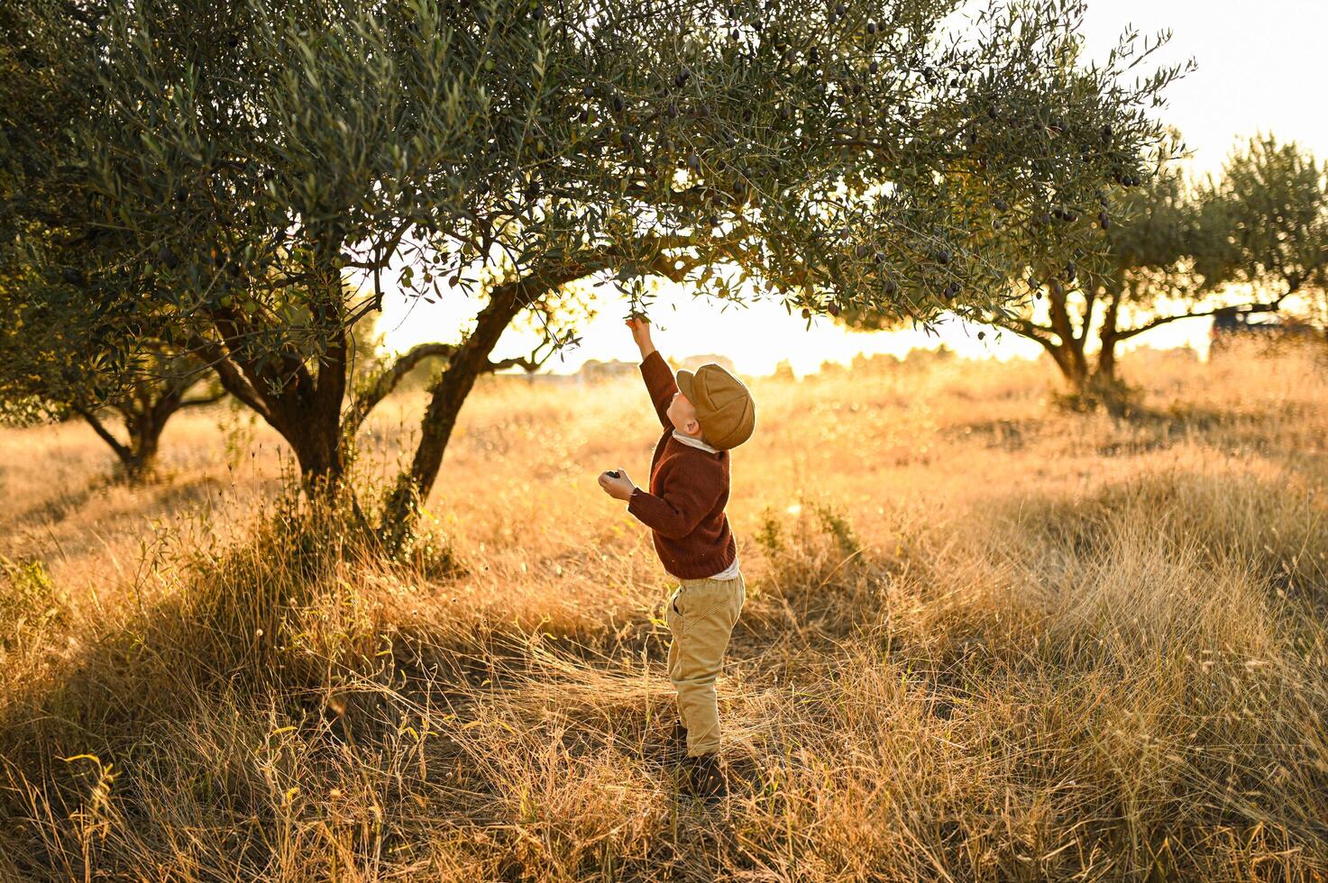Barefoot and carefree, the boy smiles under the fading sun, hands full of olives. photo