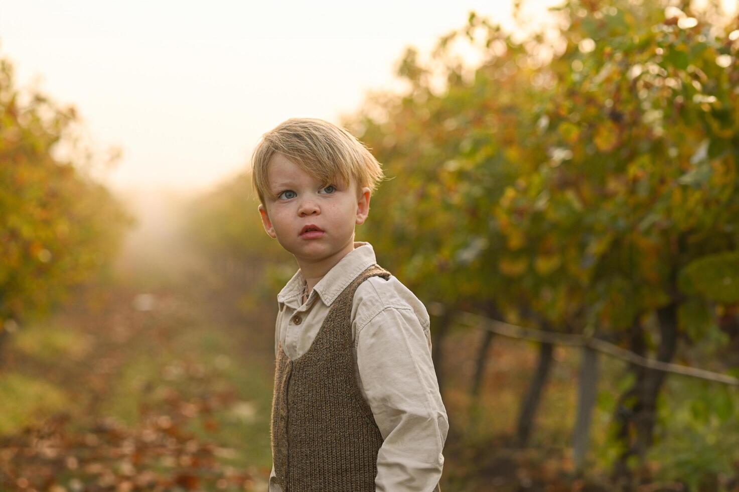 The child stands quietly between grapevines, soaking in the peaceful countryside. photo