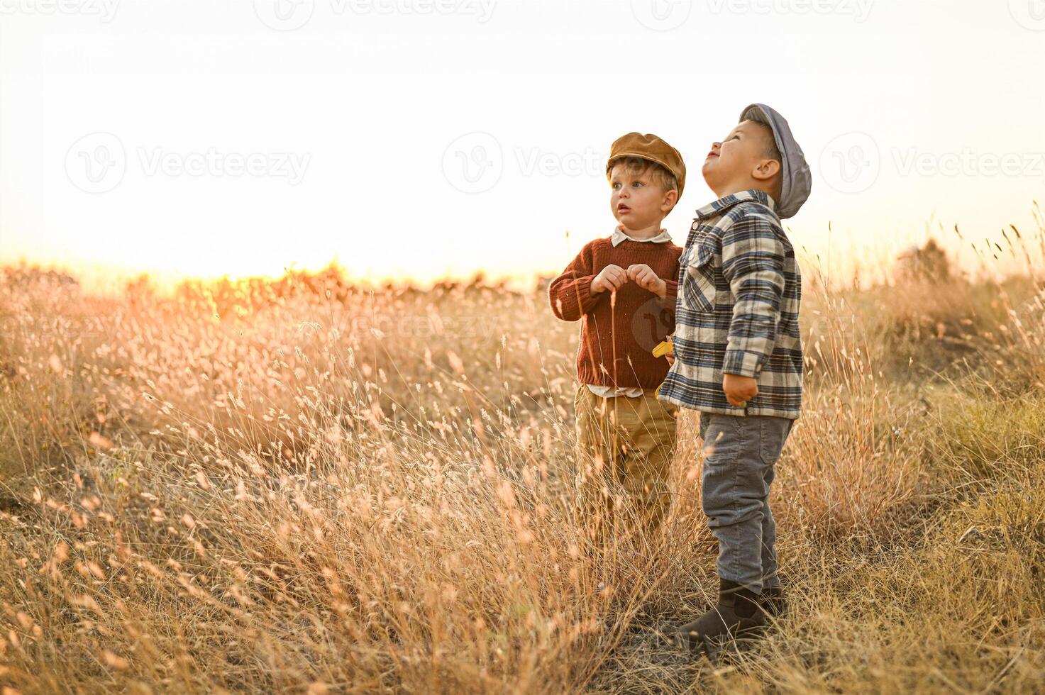 In the warm glow of the setting sun, two boys chase each other through tall grass, dragging a big plush bear behind them photo
