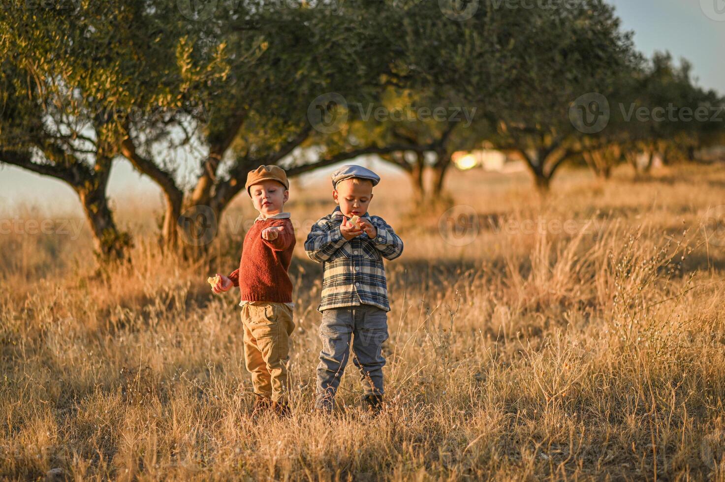 A timeless scene of boys sharing a quiet moment, olives resting in their dusty palms. photo