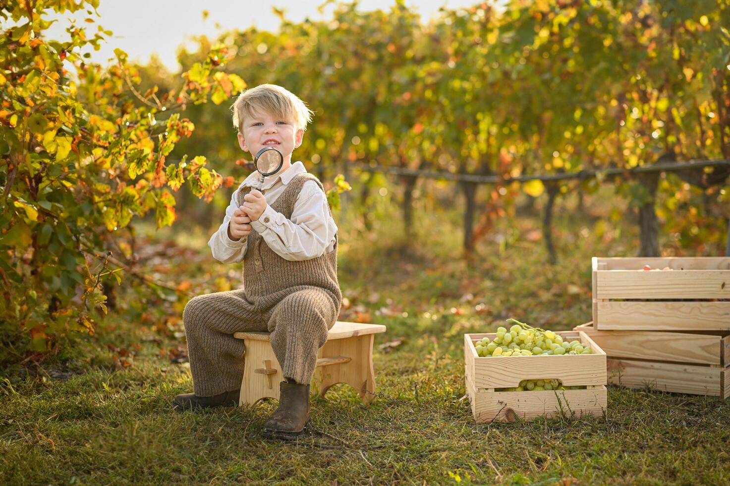A young boy sits in a vineyard beside crates of green grapes, examining a grape through a magnifying glass. photo