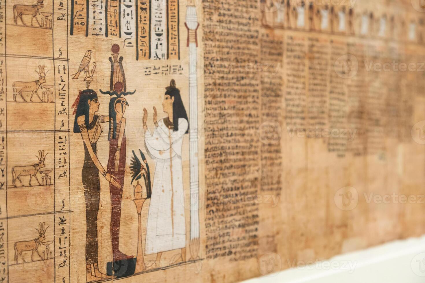 Egyptian Museum, Book of the Dead of Tayesnakht - papyrus photo