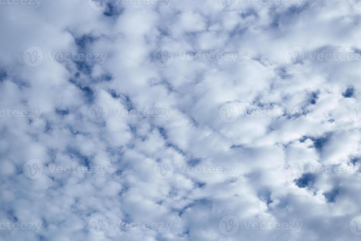 As evening crept toward night, the sky grew heavy with dark clouds, their shadows swallowing the last traces of twilight. The air was still, thick with the scent of pending rain photo