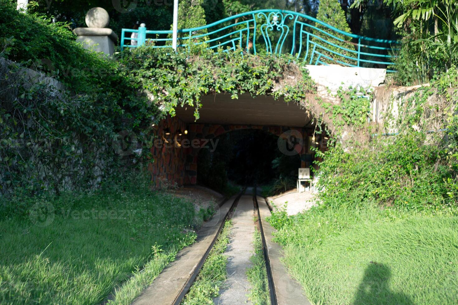 A forgotten railway tunnel beneath a bridge, completely covered in lush green vines out of a fairytale forest ancient stone photo