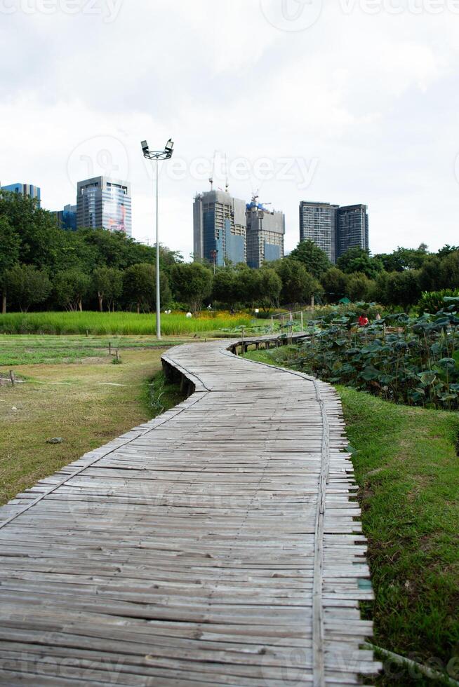 A wooden bamboo sloped path, stairs, staircase riverside walkway, and bike bicycle lane, all along lined with trees and scattered leaves bridge photo