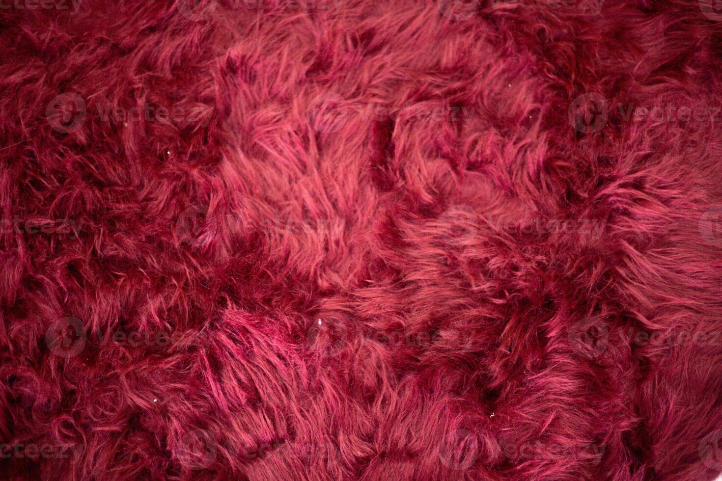 close up Luxurious long haired velvet in a deep wine red shade background photo