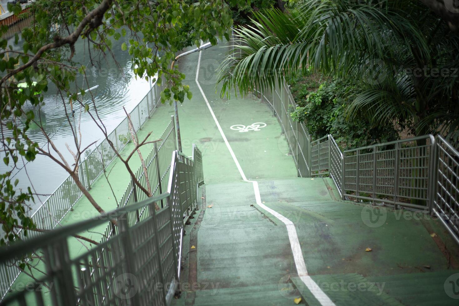 A green sloped path, stairs, staircase riverside walkway, and bike bicycle lane, all along lined with trees and scattered leaves bridge photo