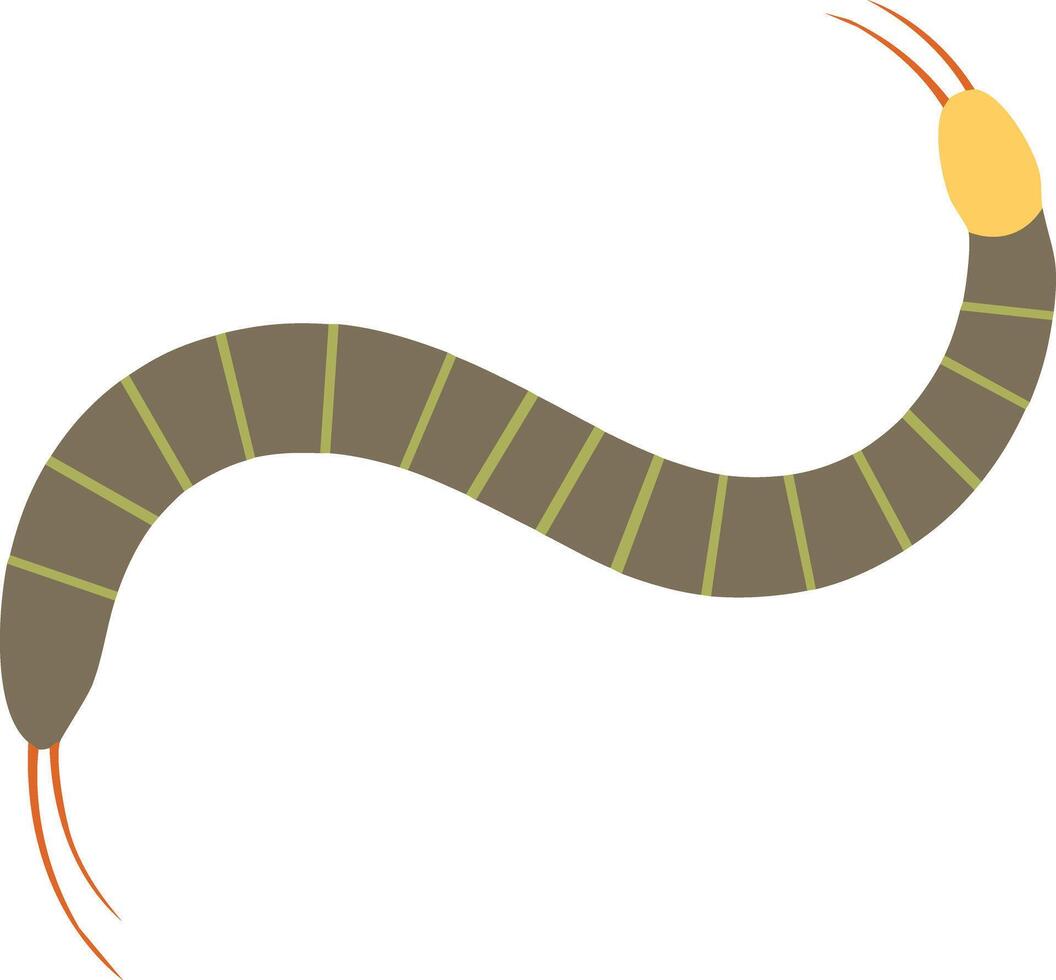 A worm with long legs and a long tail vector
