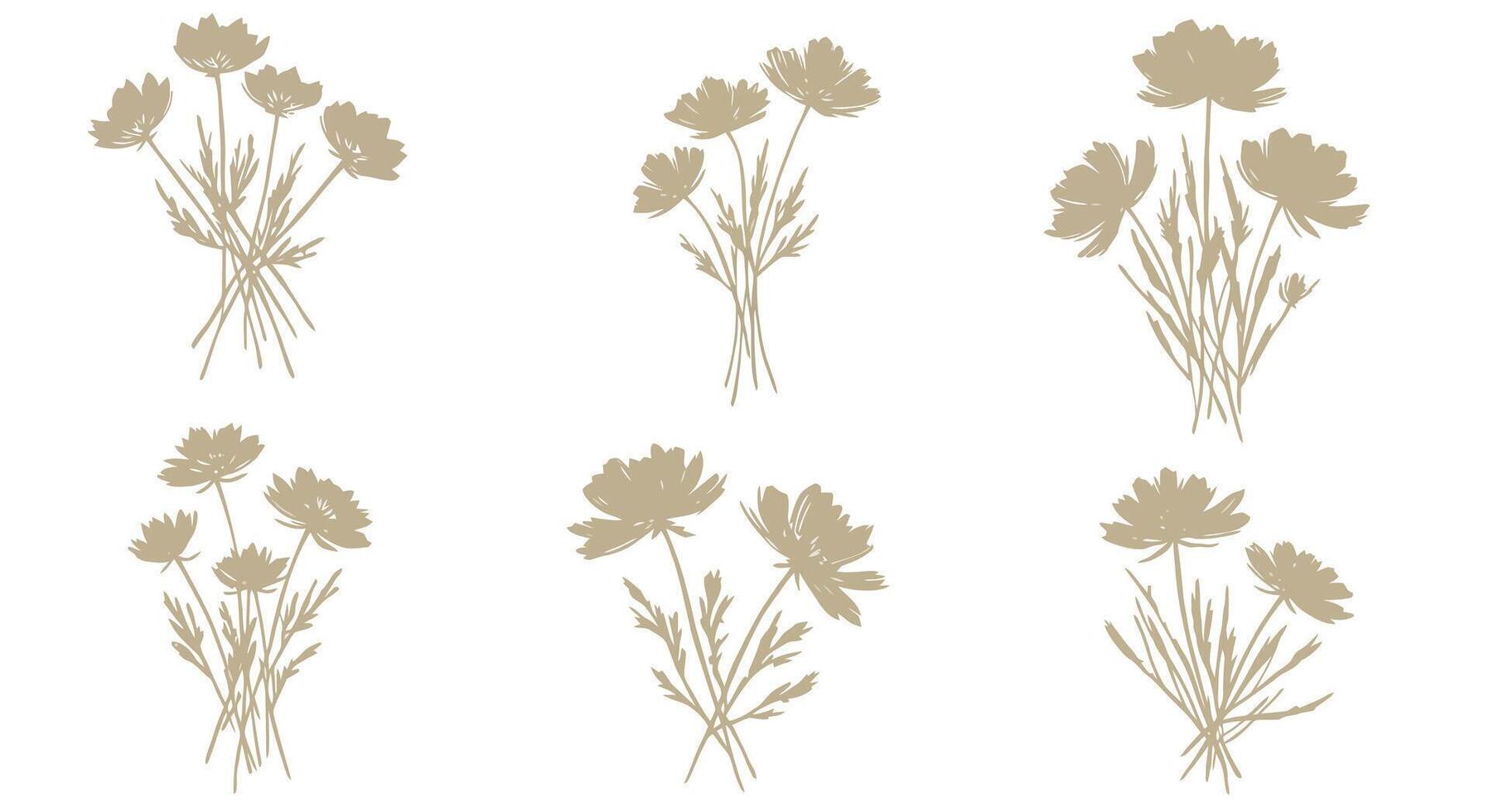Beige wildflower bunches with thin stems and detailed petals in minimal natural botanical flat style illustration vector