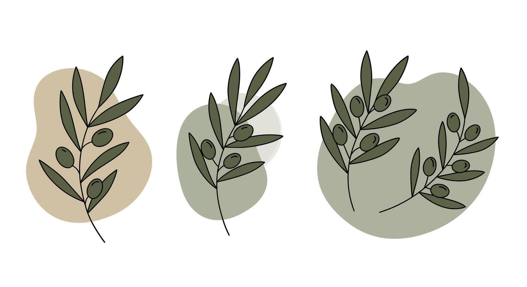 Three olive branches with green and brown leaves and olives in minimal flat design style illustration vector