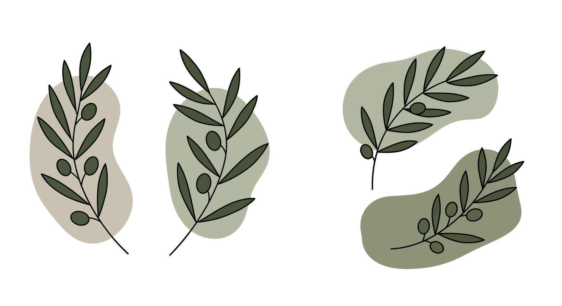 Olive branches with green leaves and black olives in flat minimal style natural decorative art vector