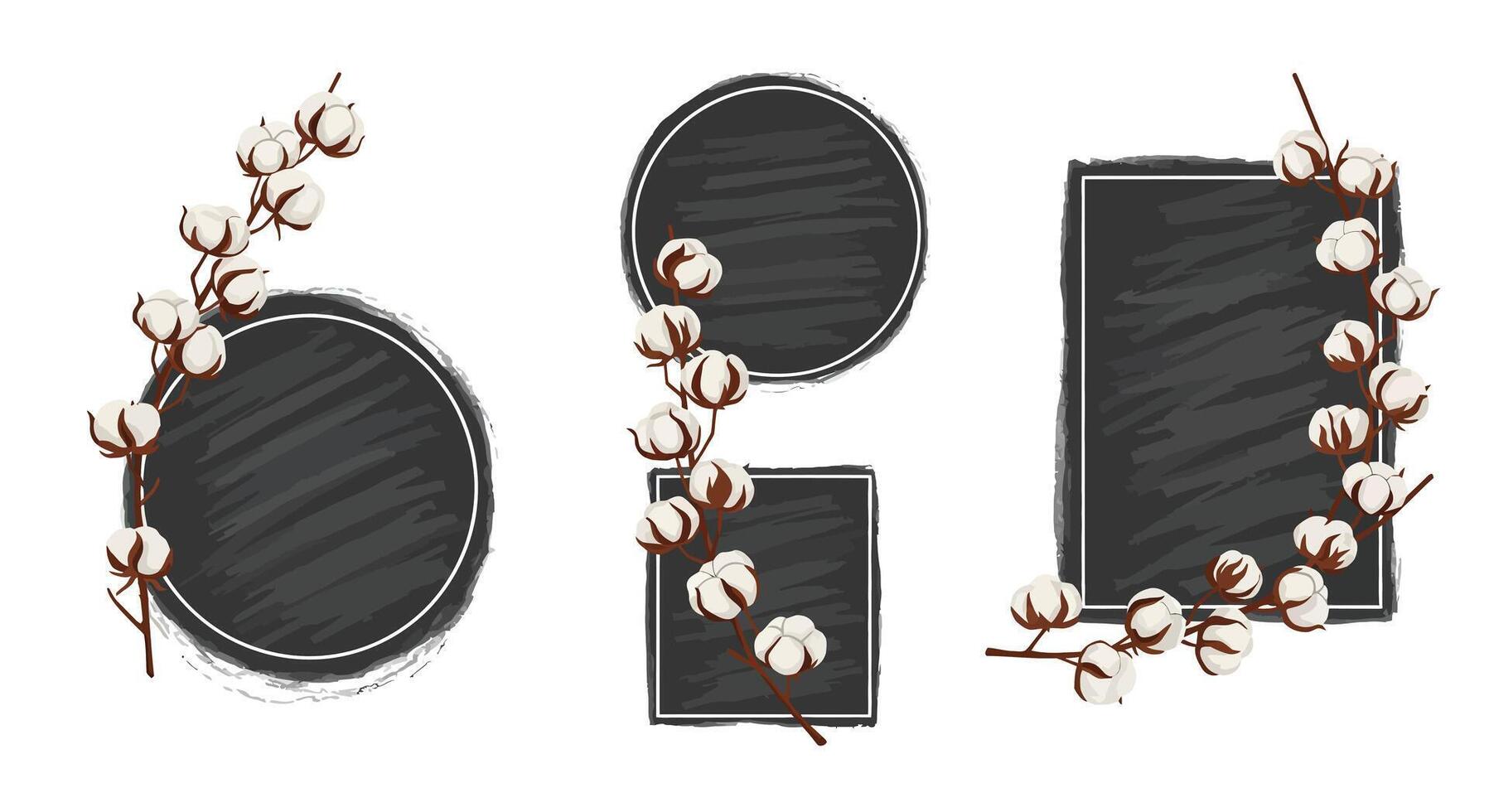 Cotton plant branches with round and rectangular black chalkboard frames minimal design illustration vector