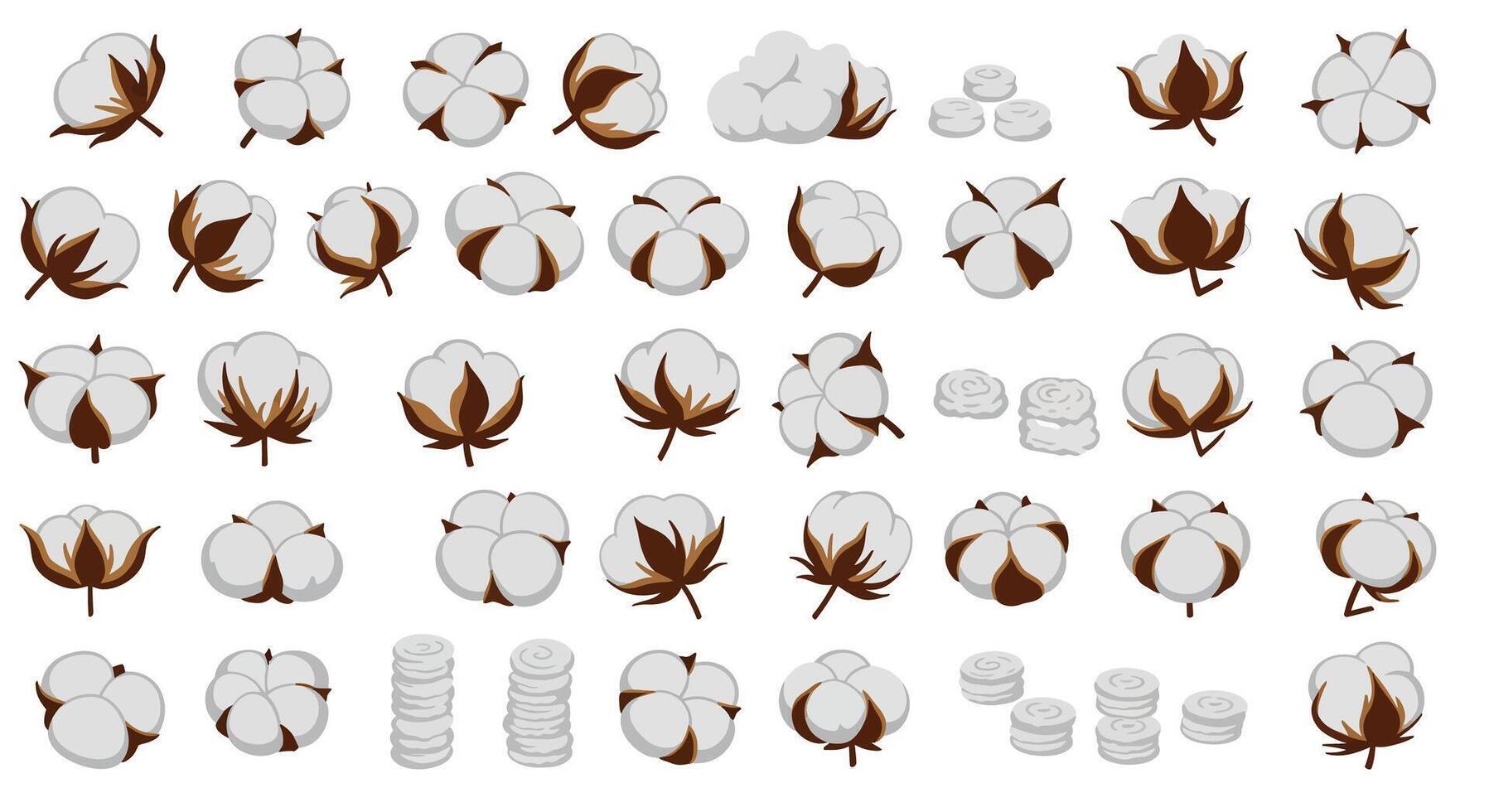 Various cotton bolls and cotton fiber clusters in detailed flat style isolated on white background illustration vector