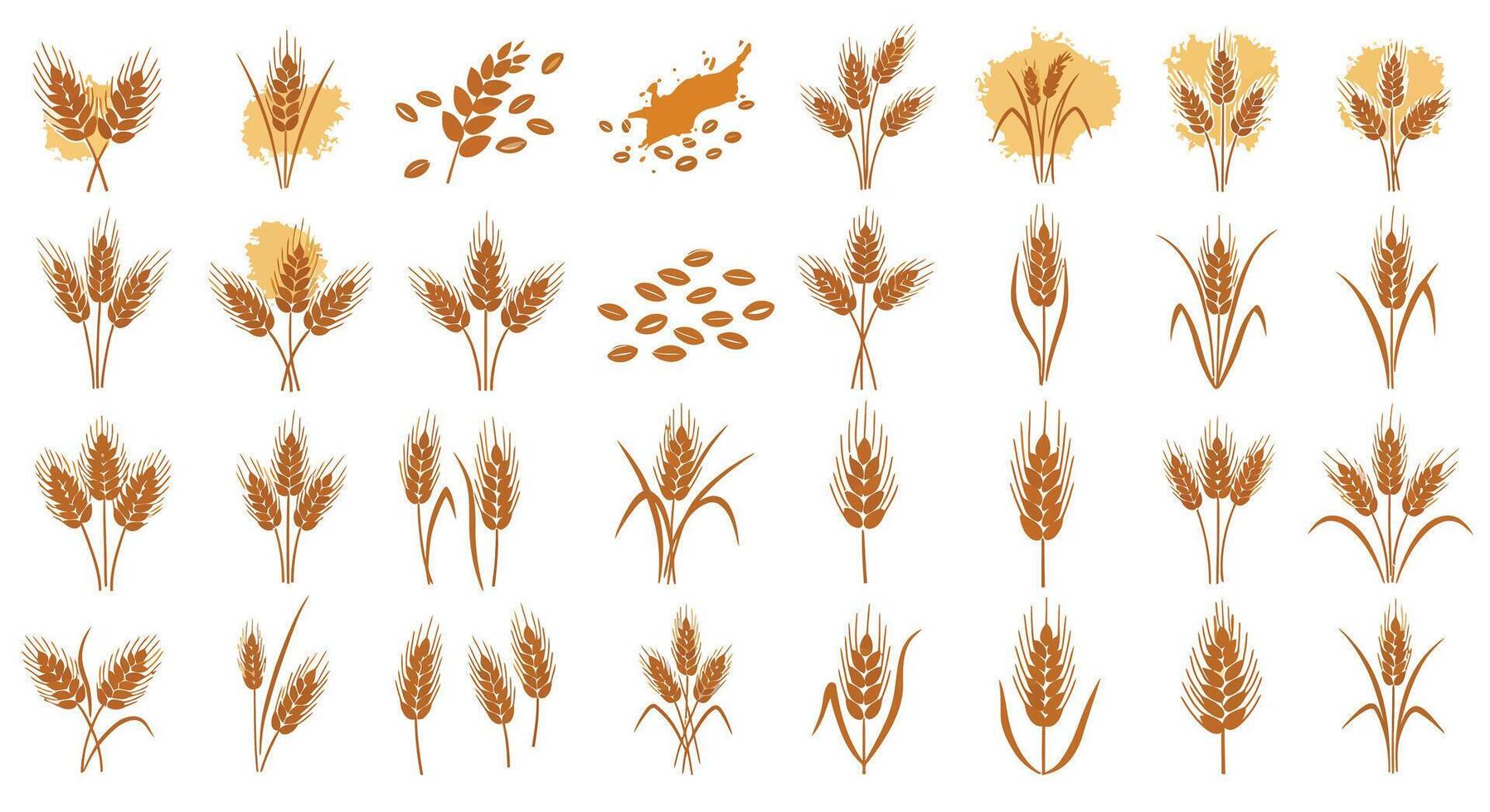 Various golden wheat ears and grains in flat detailed style isolated on white background illustration vector