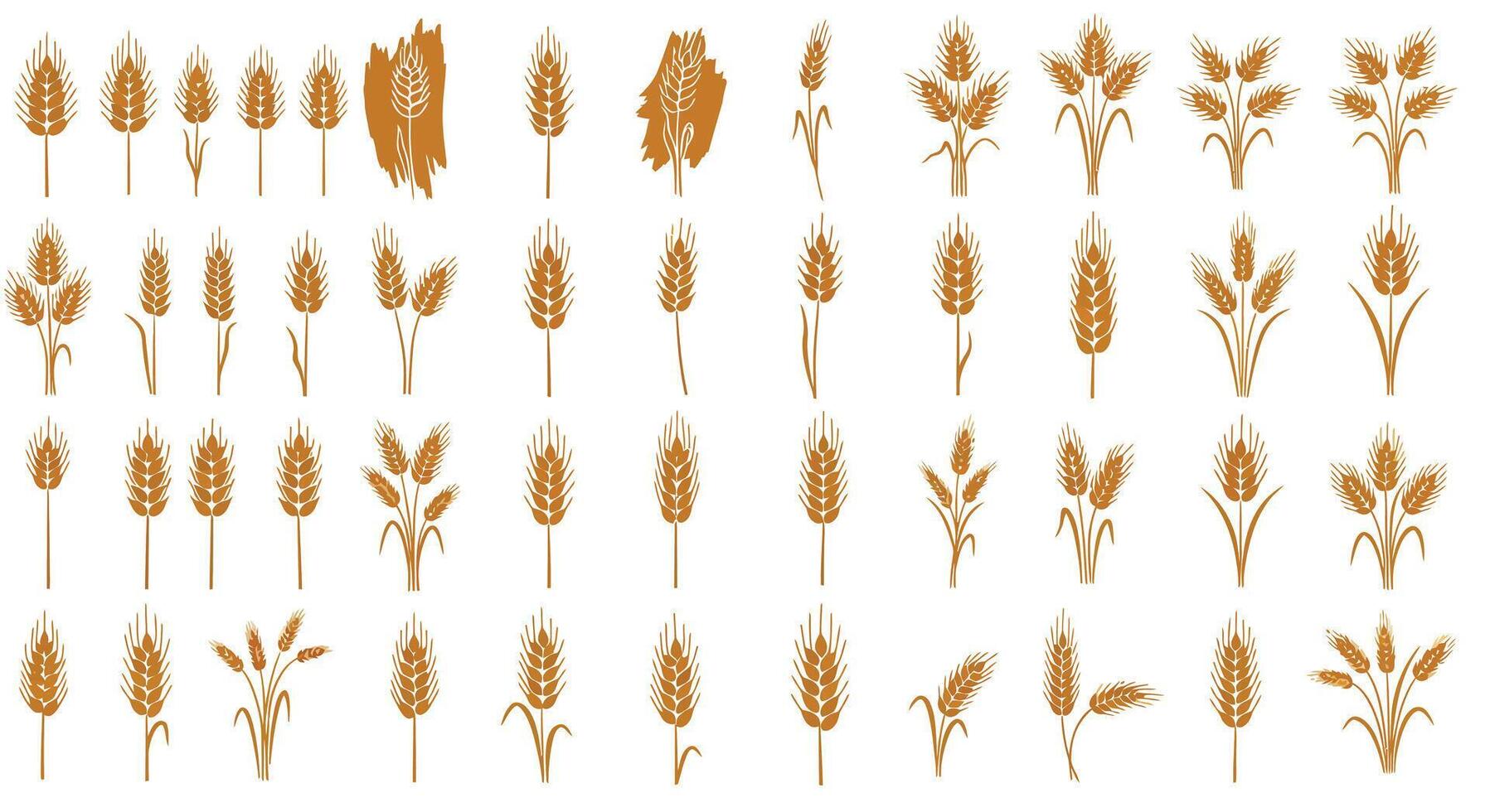 Various detailed golden wheat ear designs in flat style with diverse shapes and stages of growth art vector