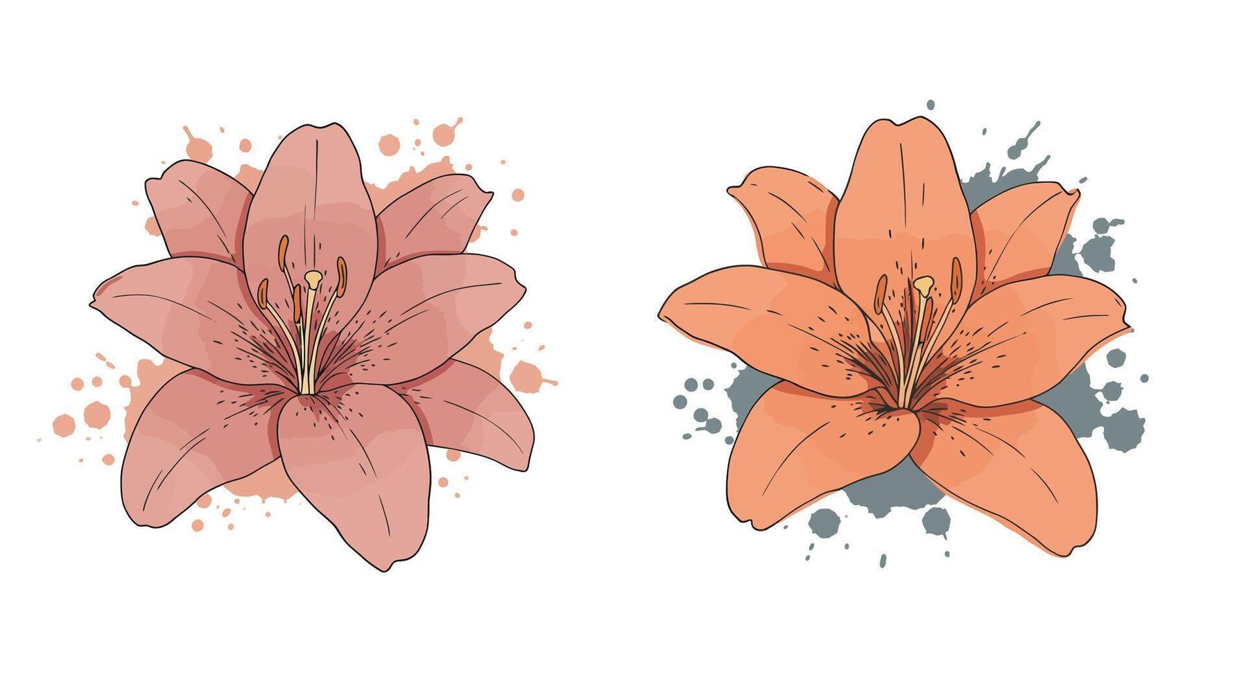 Two detailed lily flowers with natural shades and splattered paint effect in artistic flat style illustration vector