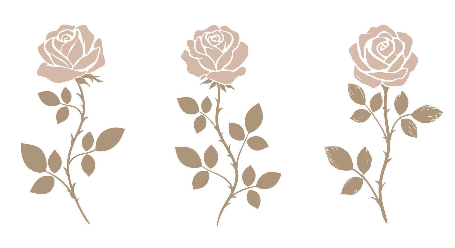 Three beige roses with stems and leaves in minimal flat design style illustration vector