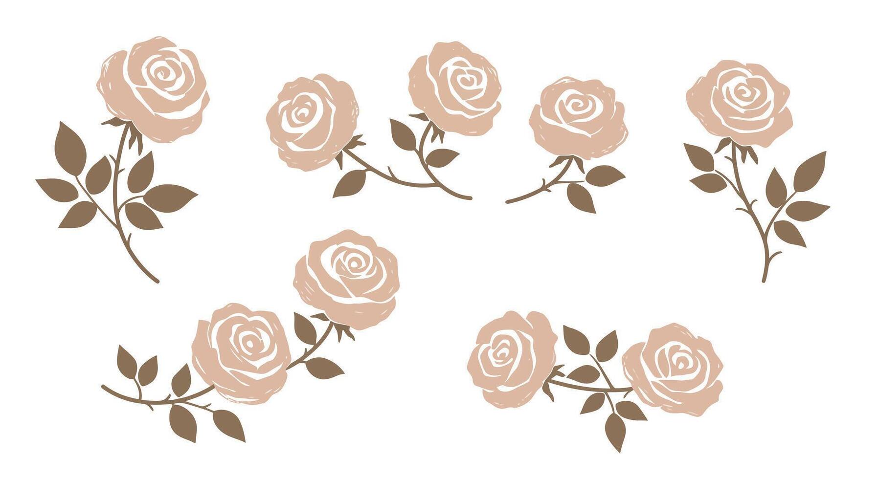 Elegant muted pink rose flowers with green leaves in minimal flat design style illustration vector