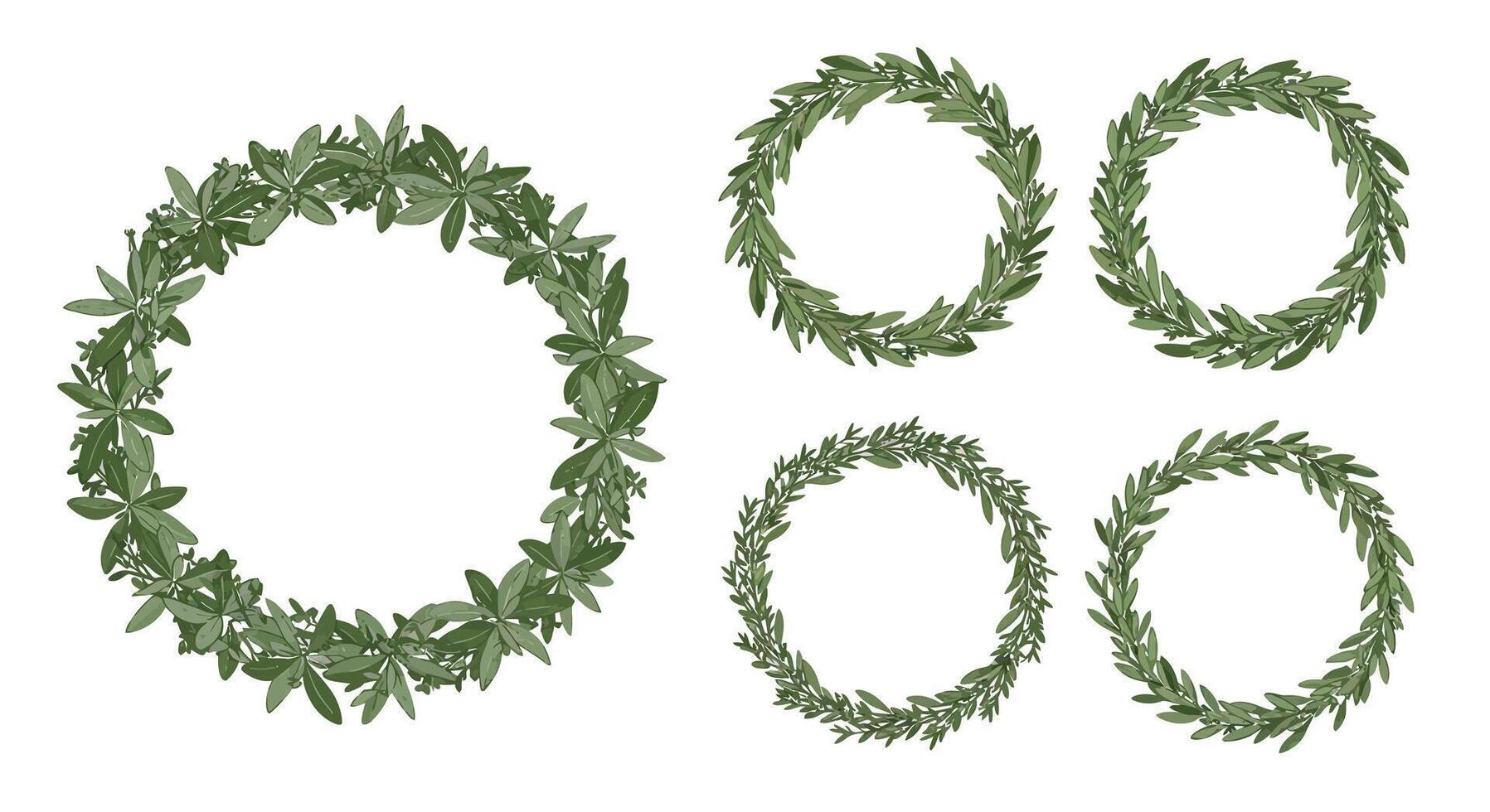 Set of five green leafy wreaths with different shapes and leaf textures in detailed flat style illustration vector