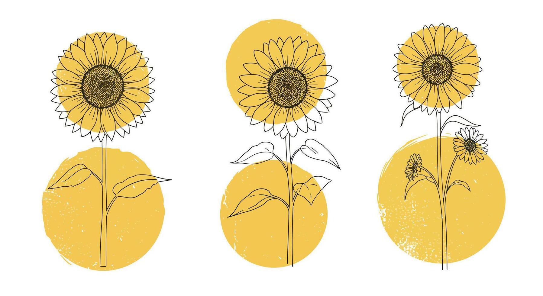 Three stylized sunflowers with abstract circular backgrounds in minimal flat design illustration vector