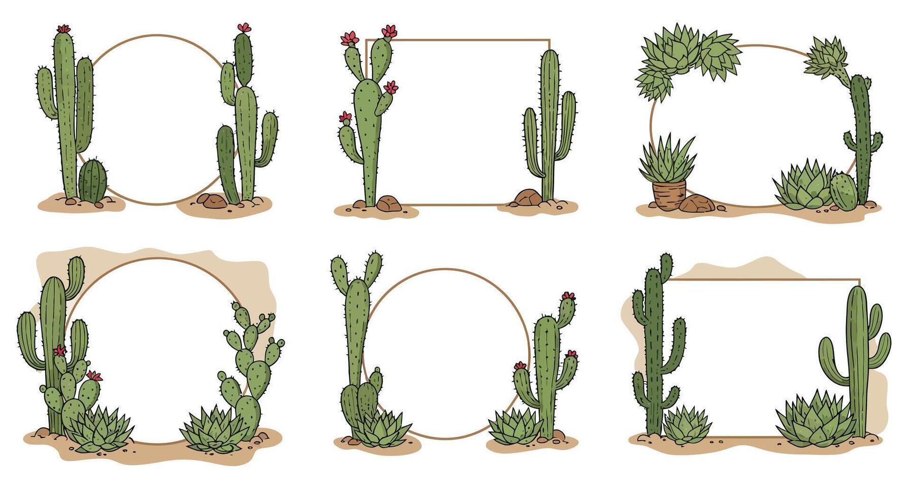 Cactus and succulent desert plants arranged in flat minimal geometric frame designs illustration vector