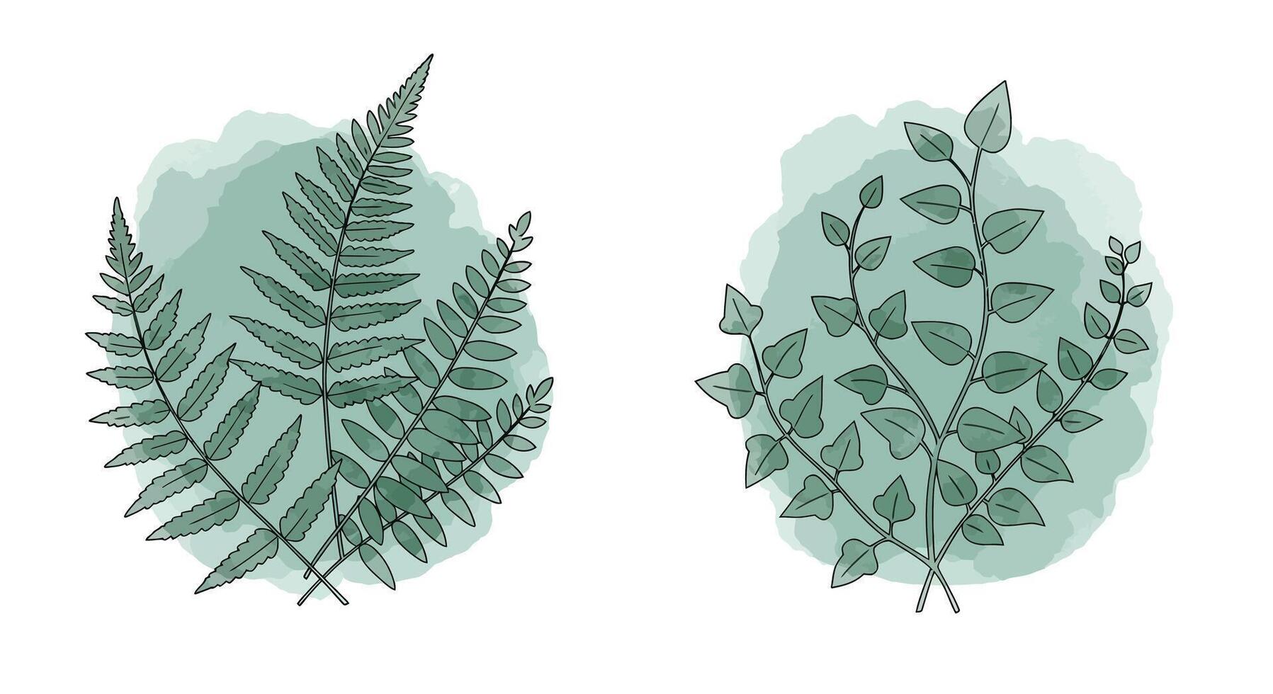 Two detailed green fern and leafy plant branches with watercolor style background minimal illustration vector
