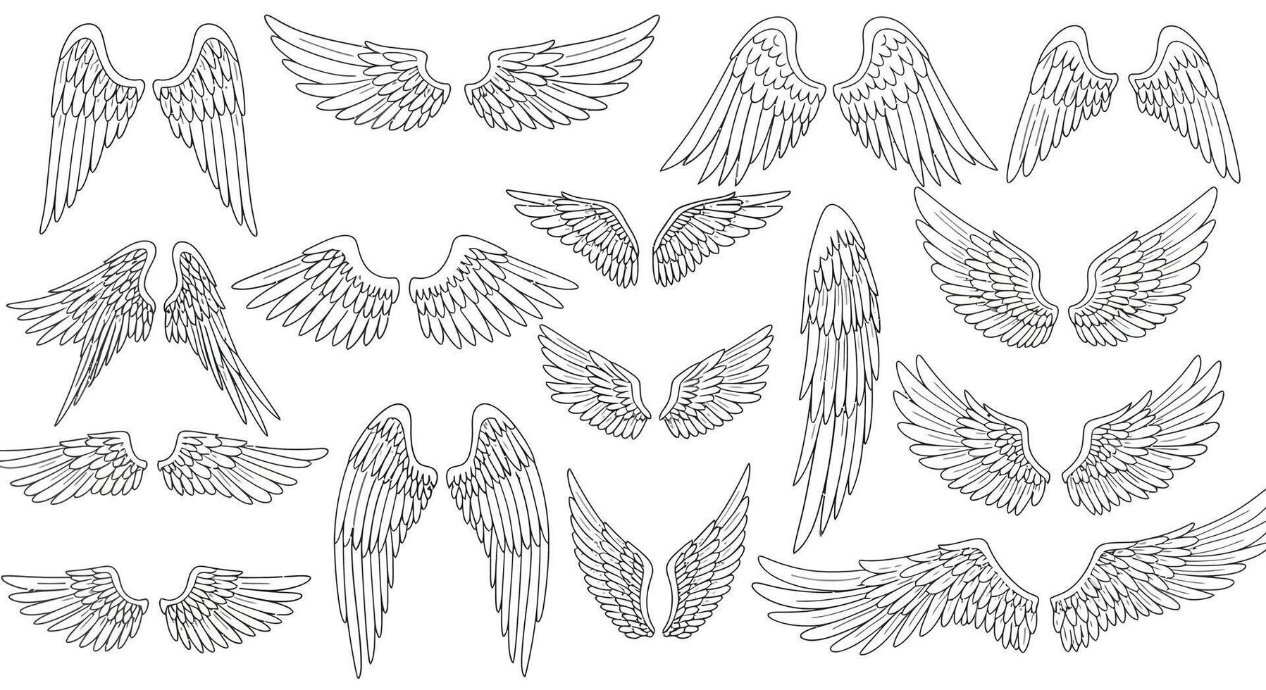 Detailed hand-drawn bird wing designs in various poses with feather textures in black and white line style illustration vector