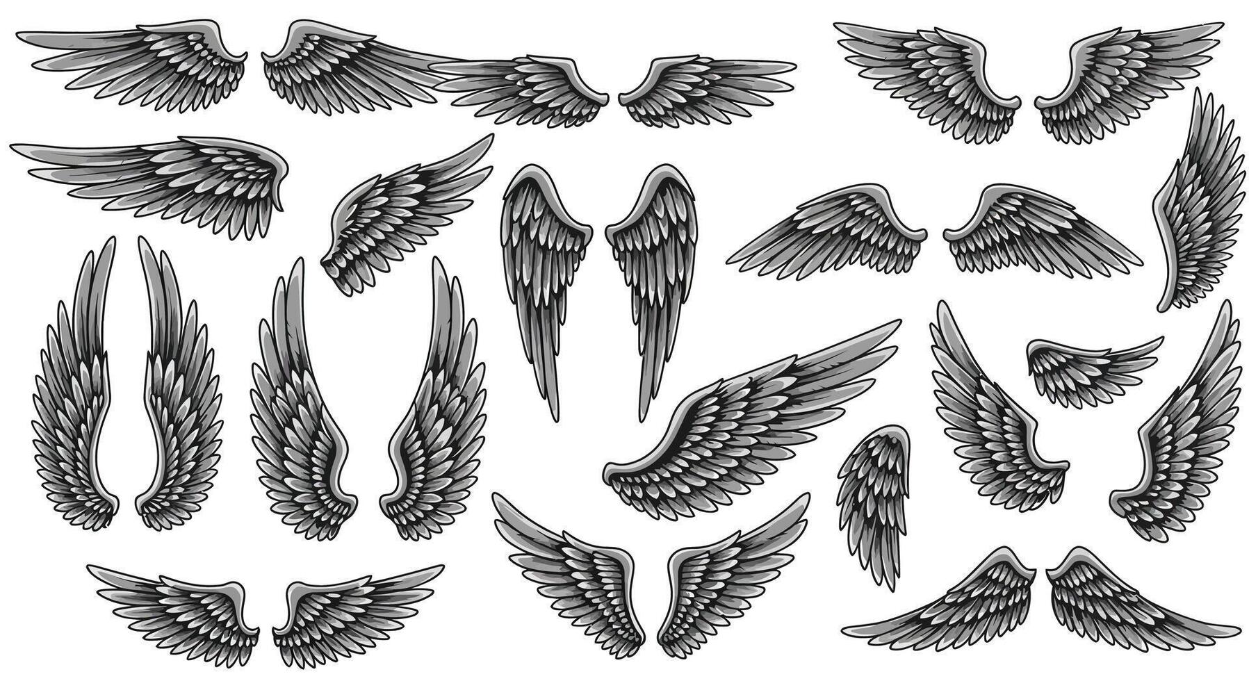 Detailed dark feathered bird wings in various shapes and positions with intricate linework black and white illustration vector