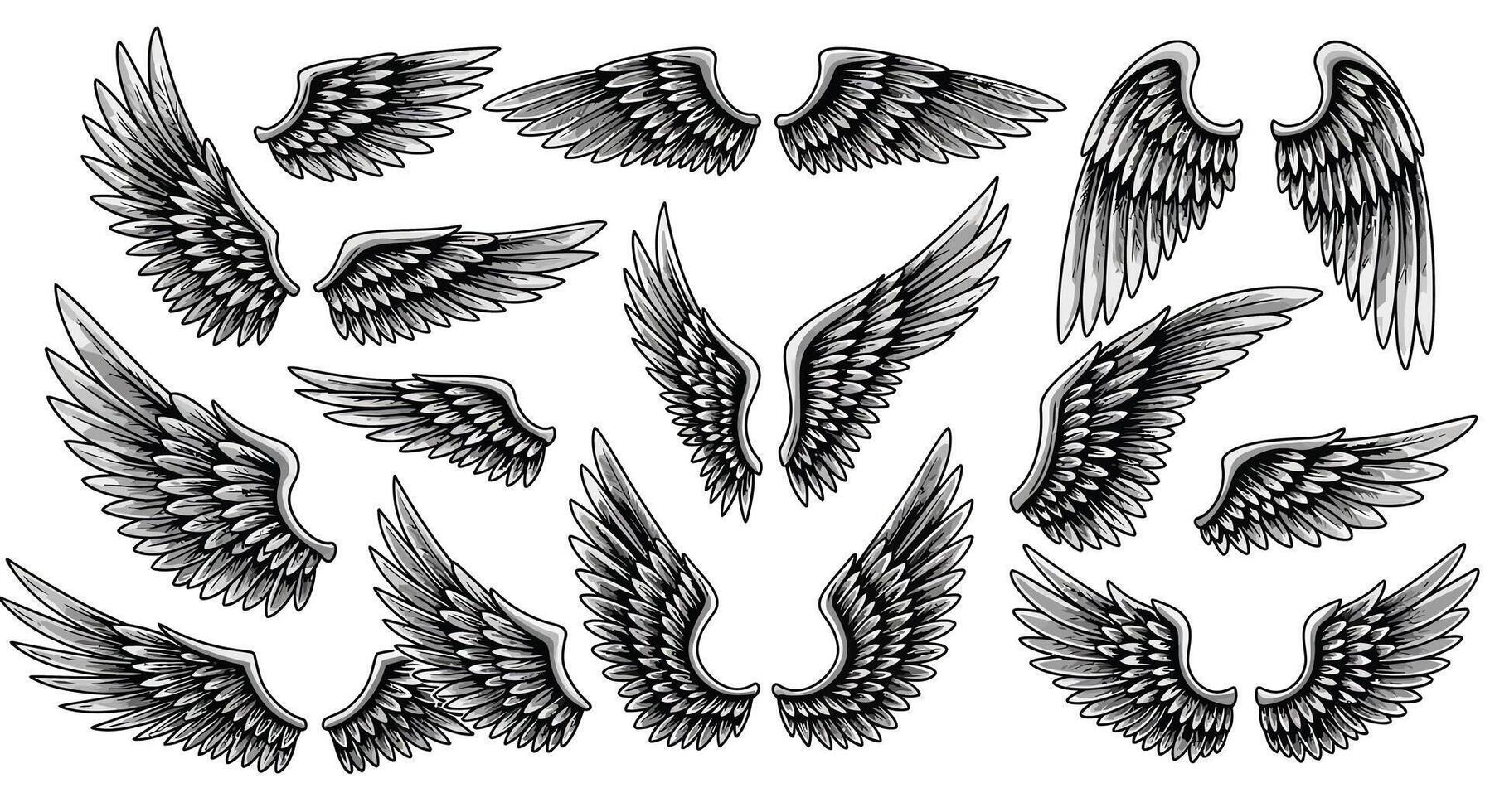 Detailed black and white bird wings set with various shapes and sizes in vintage engraving style illustration vector
