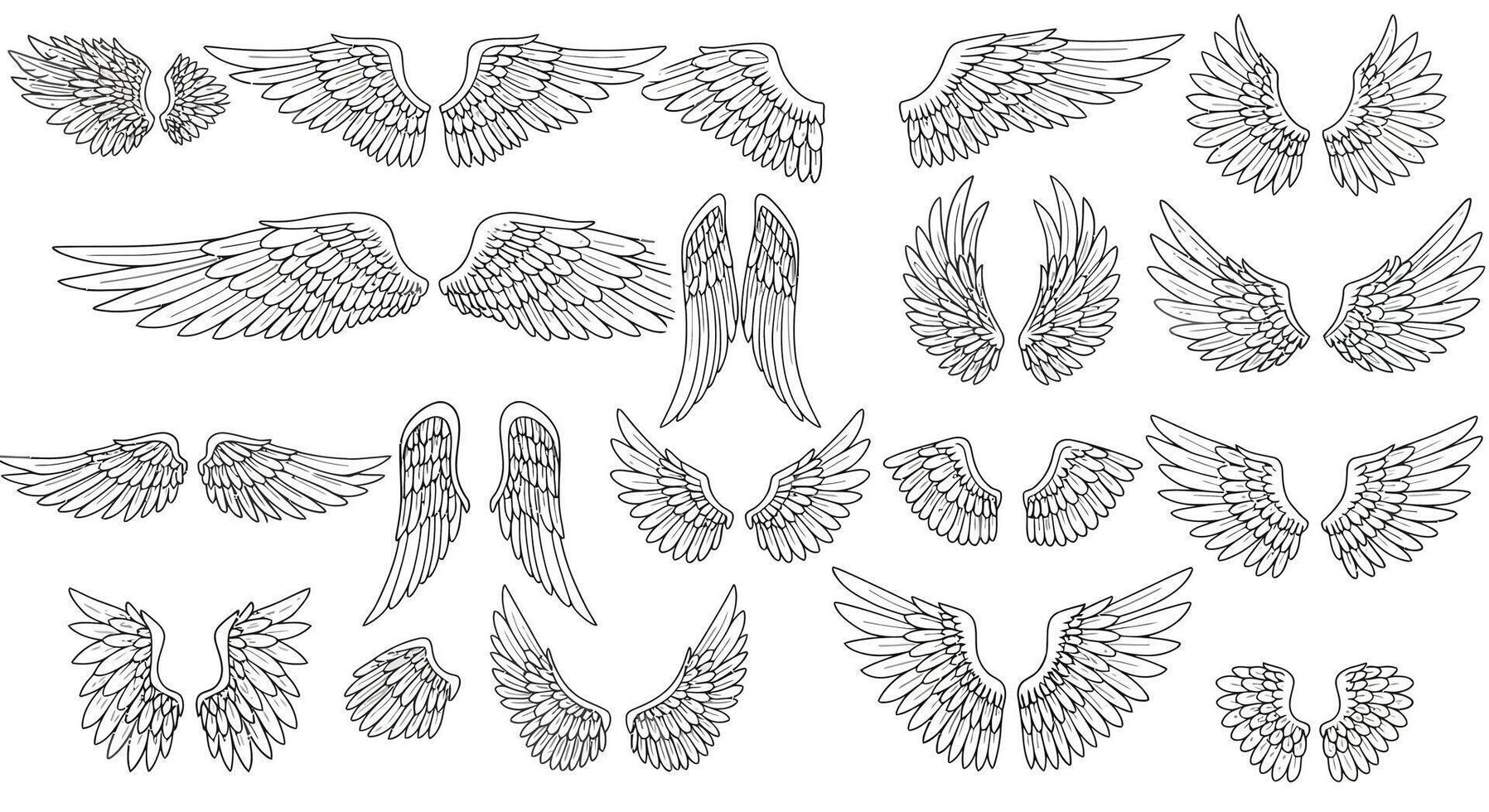 Collection of detailed hand-drawn black and white angel wings in various shapes and sizes flat style illustration vector