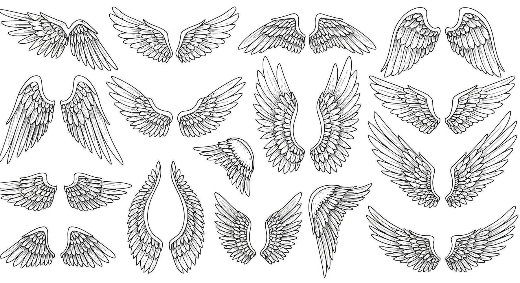 Detailed hand-drawn stylized bird wings collection with feather textures in black and white vintage flat design illustration vector