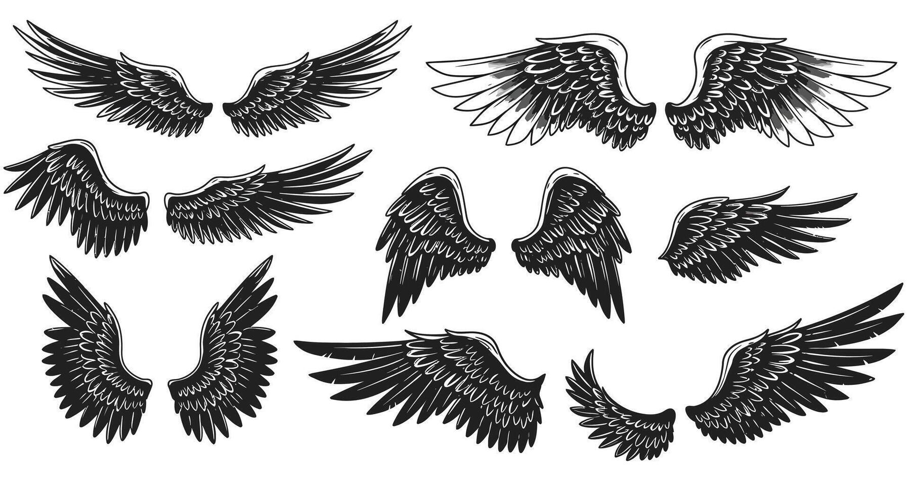 Detailed black and white stylized bird wings set with varied feather shapes in intricate flat design art vector
