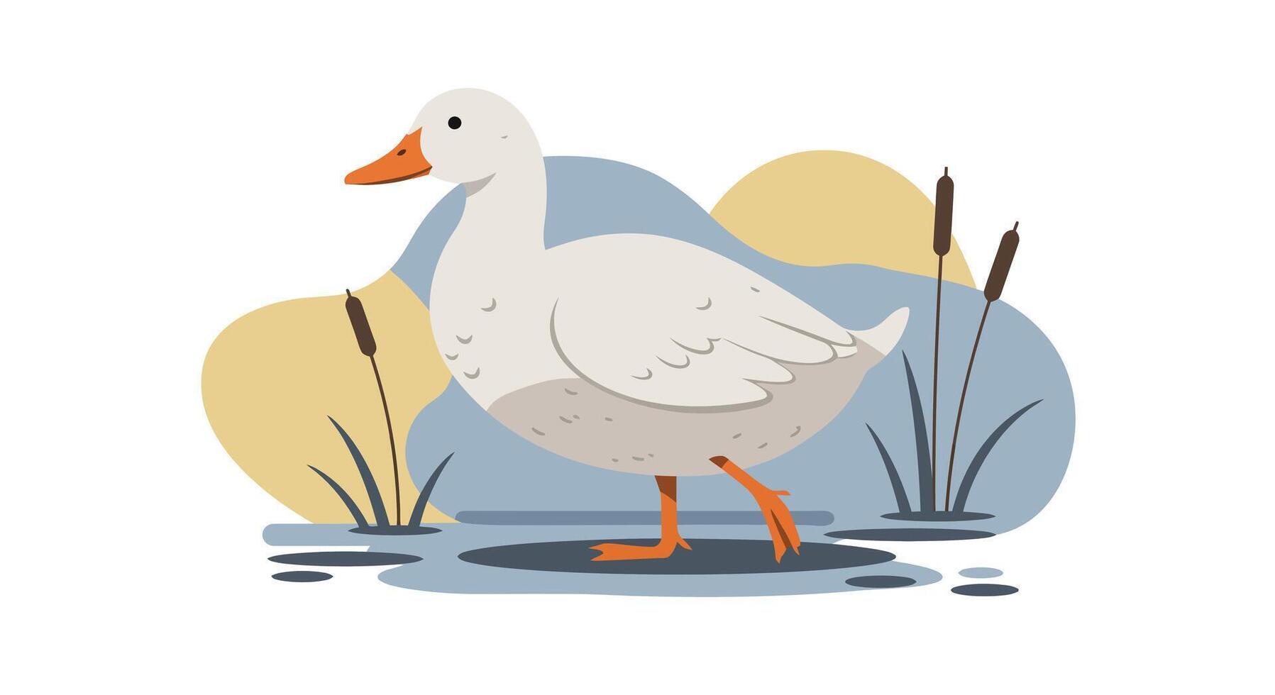 White duck walking near pond with cattail plants in minimal flat design illustration vector