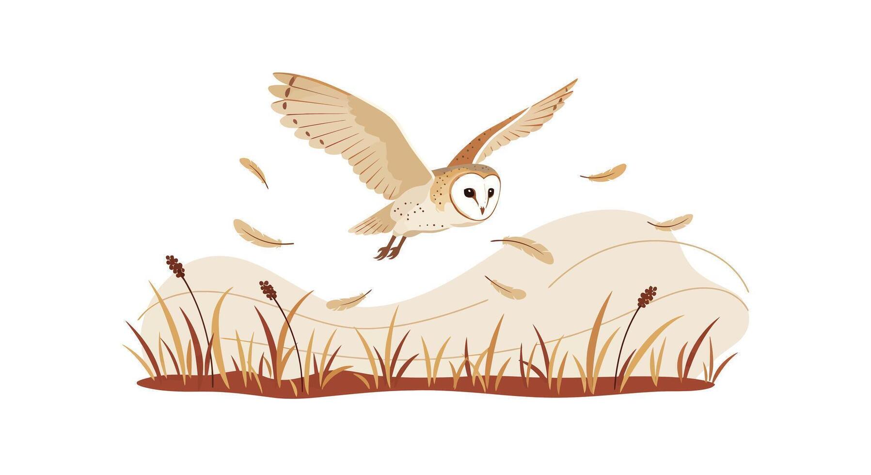 Barn owl flying low over marsh with dry grasses and reeds minimal flat style illustration vector