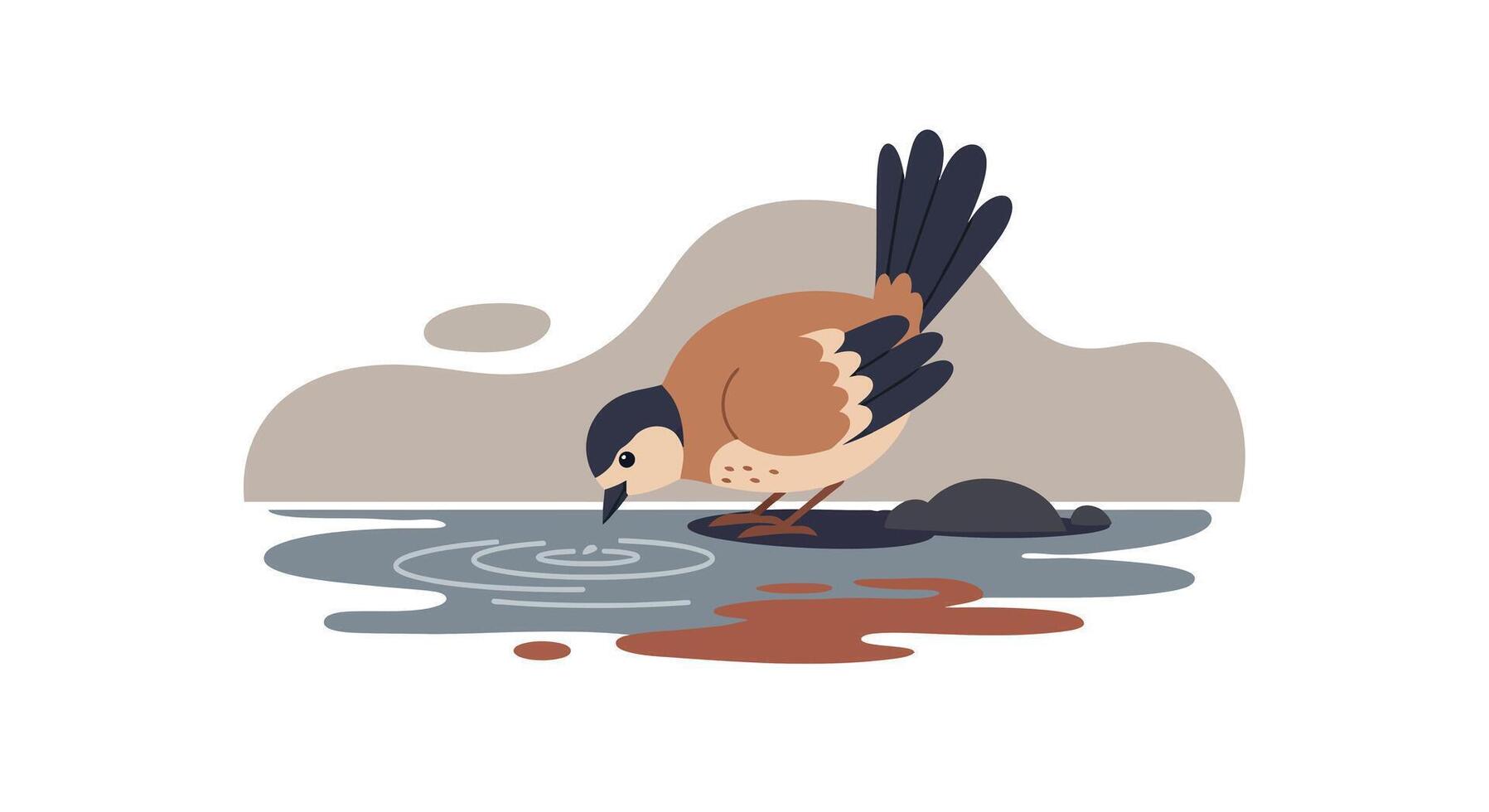 Small brown bird drinking water from pond with ripple effects flat nature scene illustration vector