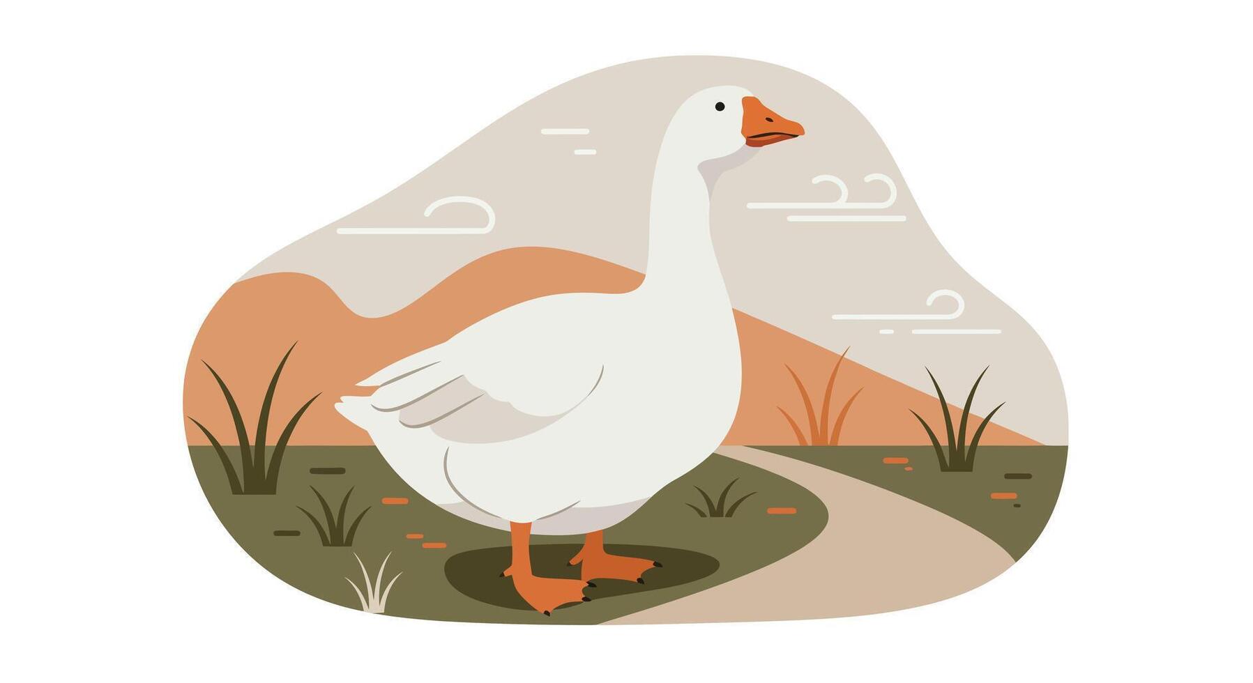 White domestic goose standing in natural outdoor setting with minimal flat design style illustration vector