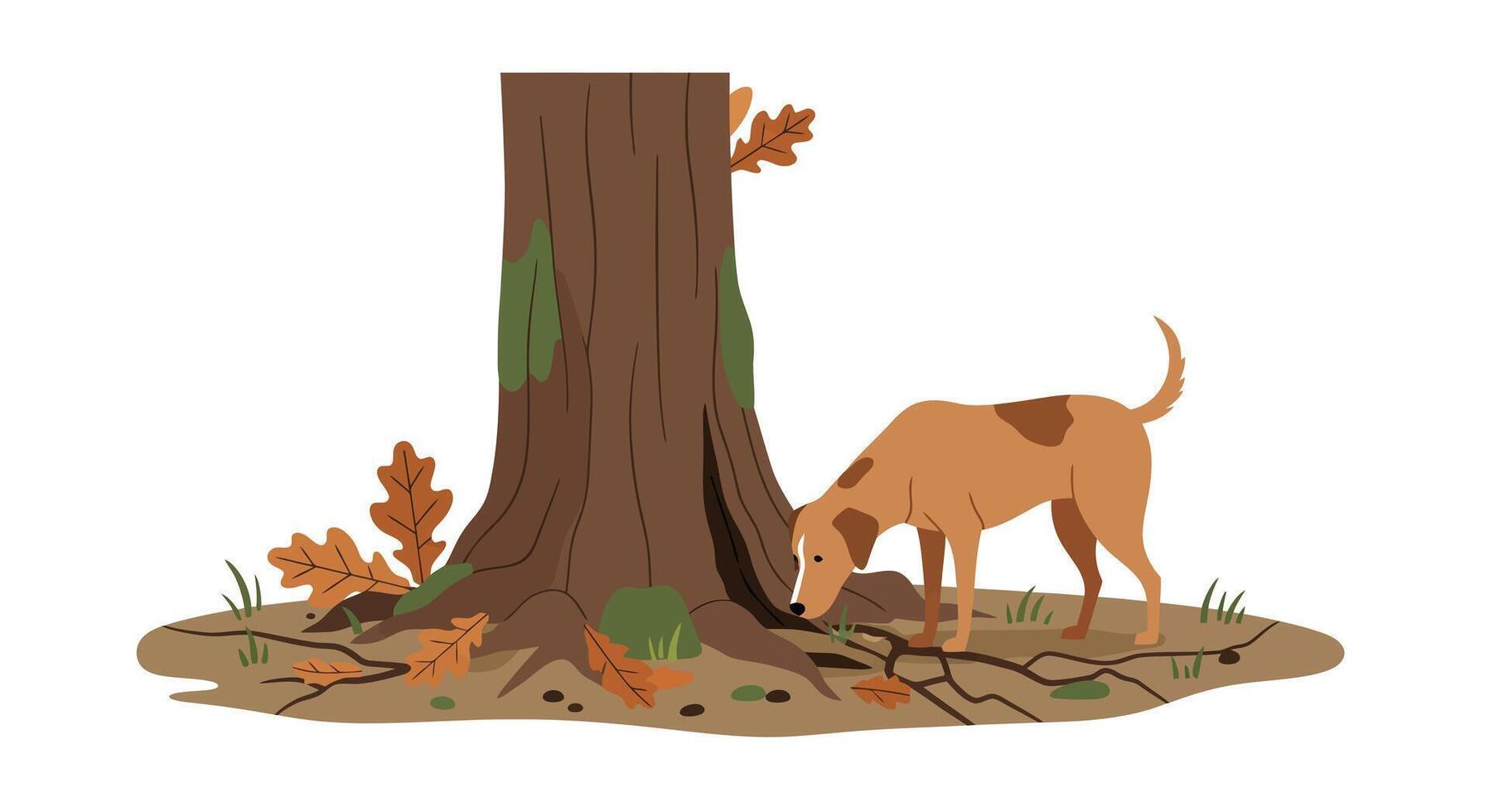 Brown dog sniffing around large tree trunk with autumn leaves in flat minimal art vector