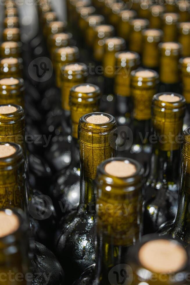 Close up wine bottles resting in a cellar awaiting consumption photo