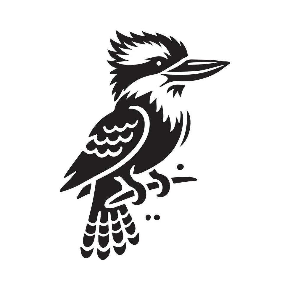 kookaburra art design vector