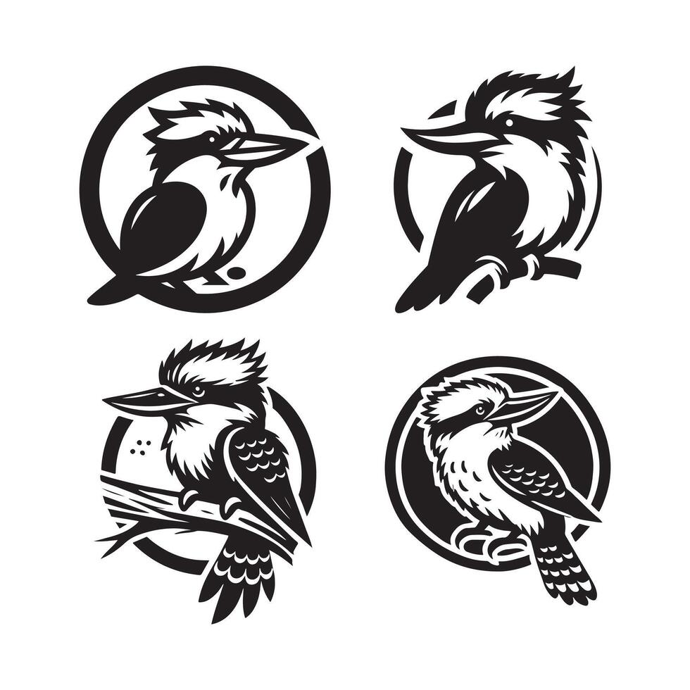 kookaburra outline image vector